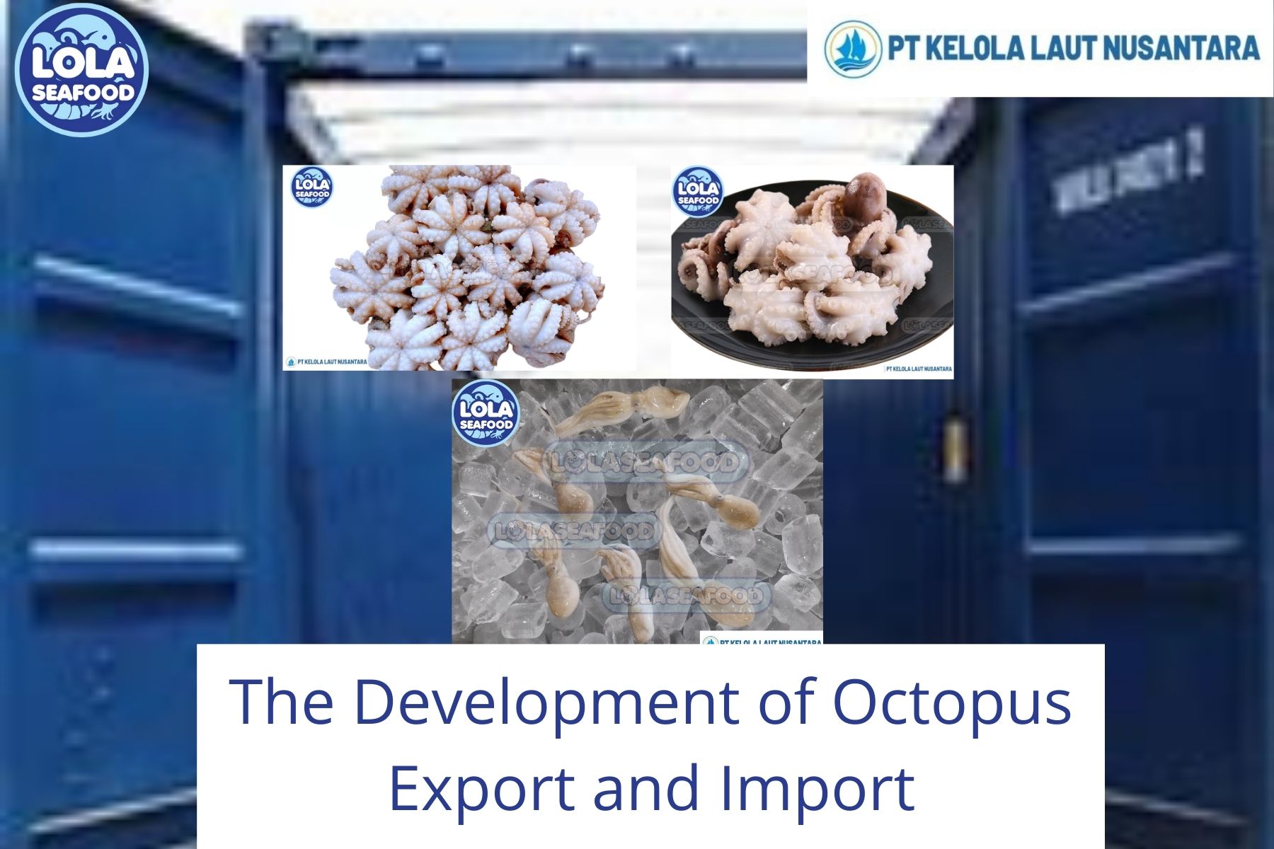 Here are The Development of Octopus Export and Import Worldwide